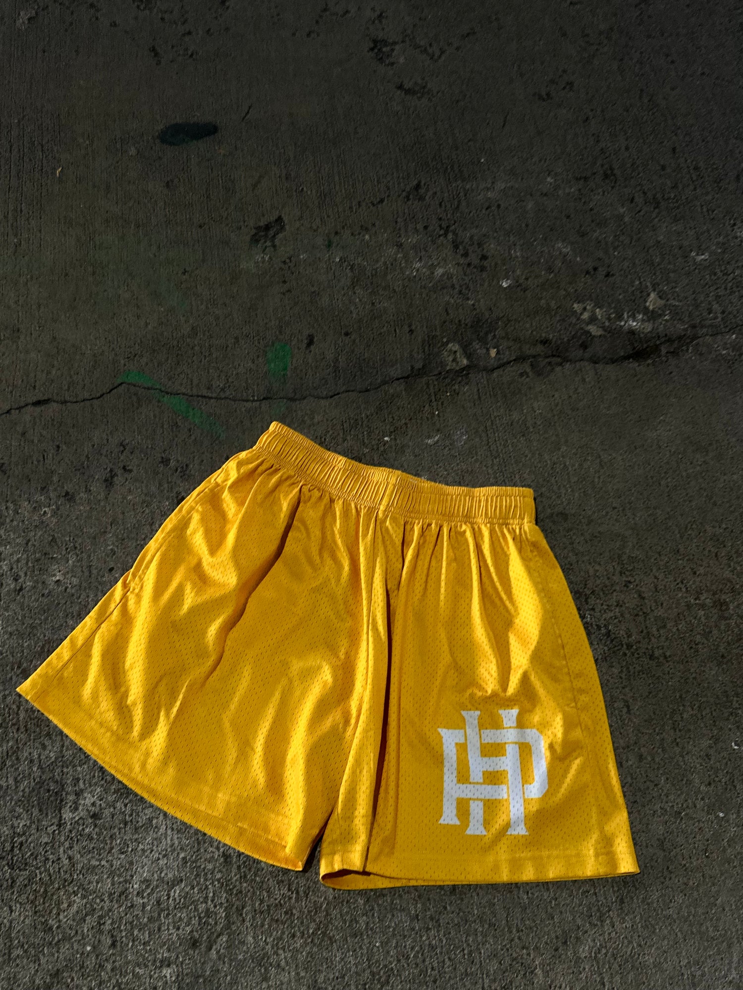 PH Logo Shorts